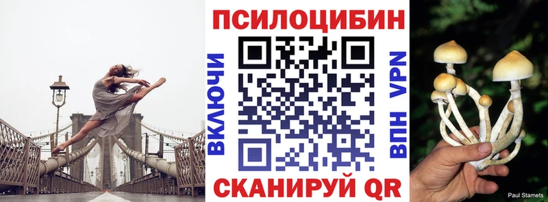 Псилоцибиновые грибы Cubensis  Купить закладки  Мичуринск 